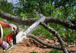 Best Weed Control  in Deforest, WI